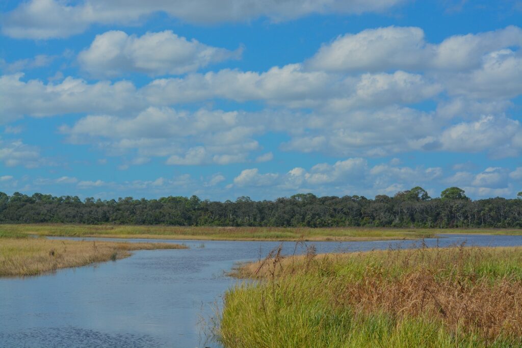 Guana Tolomato Matanzas National Estuarine Research Reserve and Guana State Park