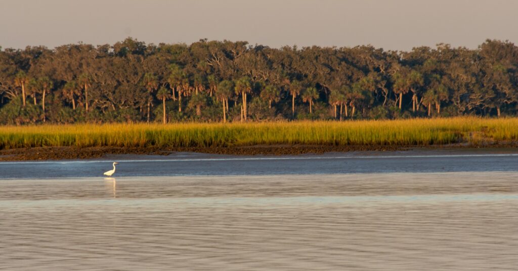 Guana Tolomato Matanzas National Estuarine Research Reserve and Guana State Park