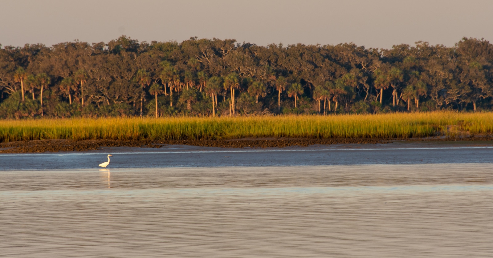 Florida's Guana Tolomato Matanzas Reserve Is Jaw-Dropping