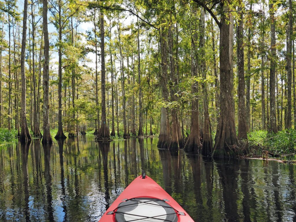 Bulow Creek State Park