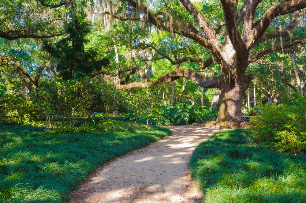 Washington Oaks Gardens State Park 