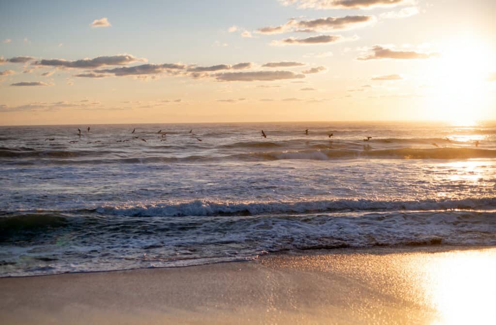 things to do in Flagler Beach, a beautiful photo of the sunset over the Florida beach with golden sands