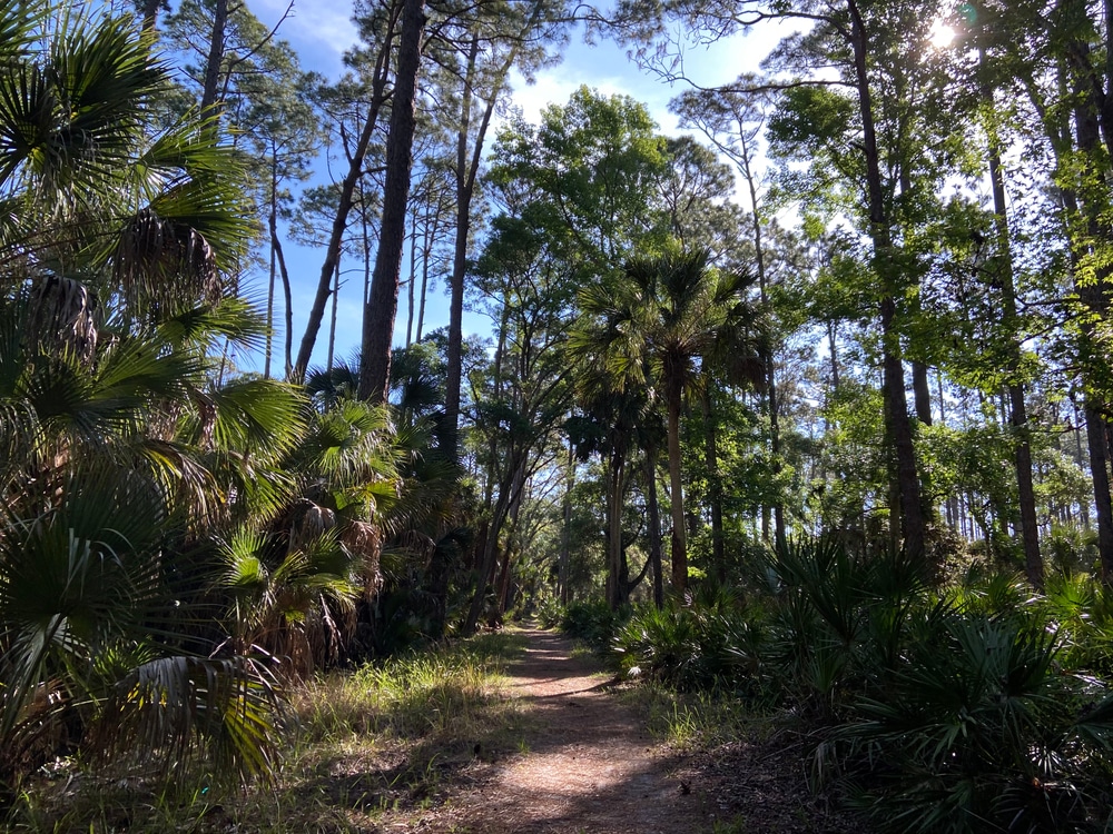 photo of the trails at Bulow Creek State Park near one of the best hotels in Flagler Beach 