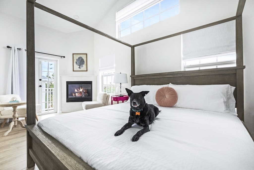 pet friendly lodging at our Flagler Beach Hotel
