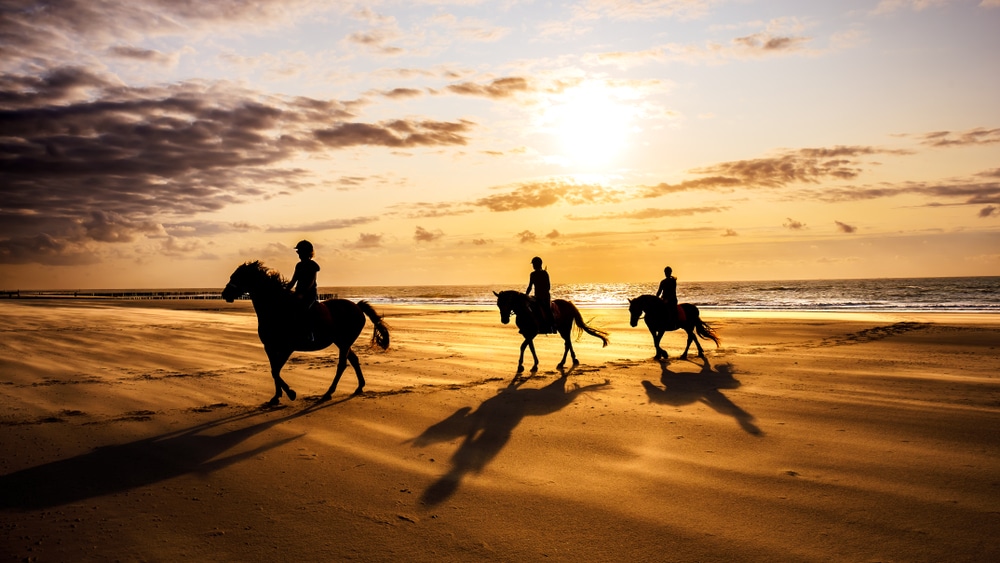 Equestrian Adventures of Florida is such a romantic outing in Flagler Beach 