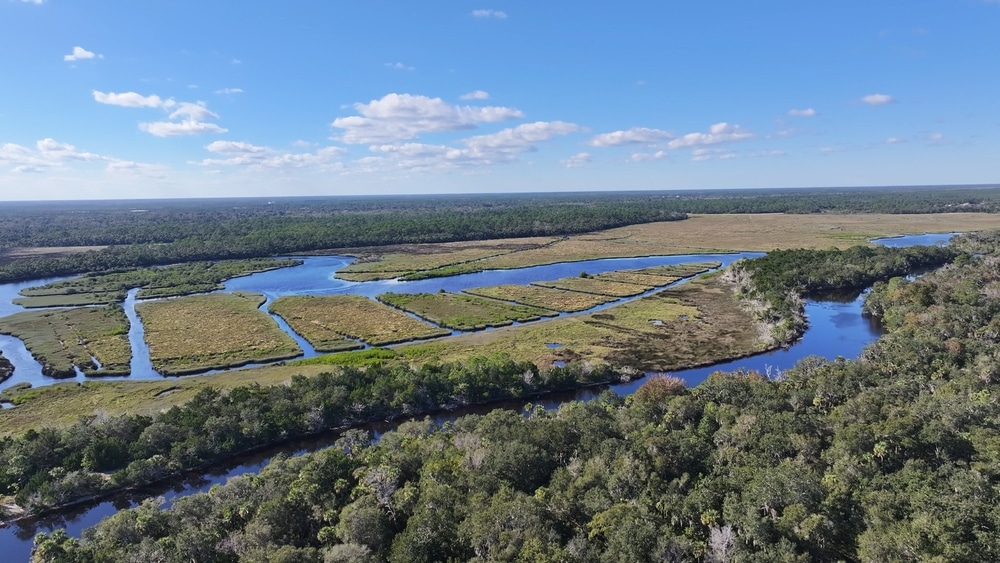 Bulow Creek State Park in Flagler Beach near our hotel on the oceanfront